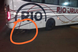 Imagen Noticia